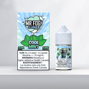 Mr. Fog Salt E-Liquid - Cool Mint Ice