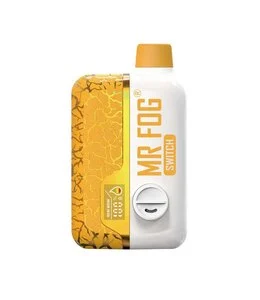 MR. FOG SWITCH 15000 - Mango Dragon Fruit Lemon Ice