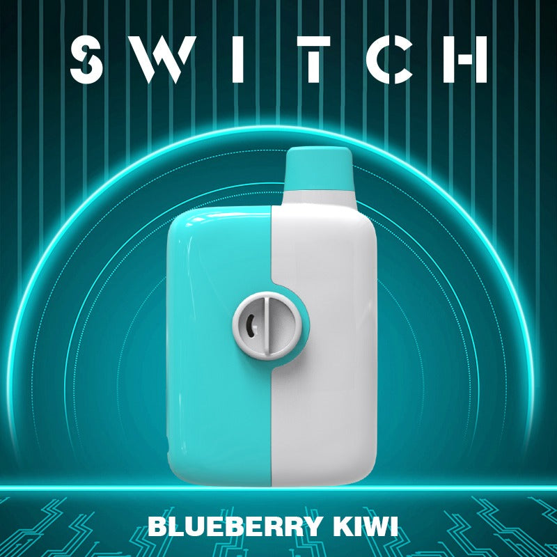 Mr. Fog Switch - Blueberry Kiwi